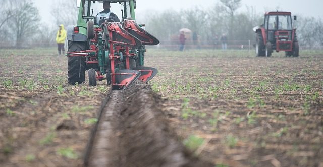 ARZĄDZENIE Wójta Gminy Głuchów w sprawie wykazu nieruchomości położonych na terenie Gminy Głuchów przeznaczonych do dzierżawy