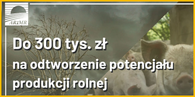 ARiMR: 300 tys. zł na odtworzenie potencjału produkcji rolnej