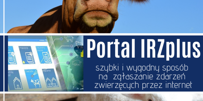 Rolniku zgłoś zwierzęta przez Internet!