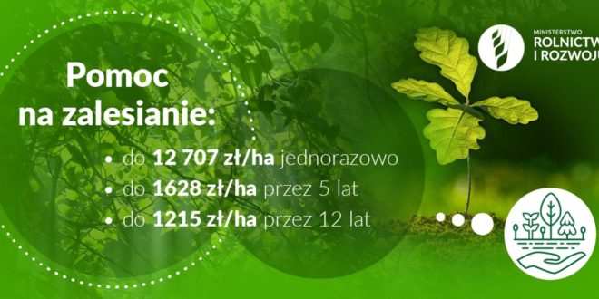 Obrazek wyróżniający - Nabór wniosków o wsparcie na zalesianie