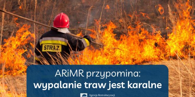 Obrazek wyróżniający - ARiMR przypomina wypalanie traw jest karalne