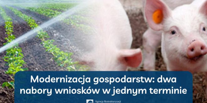 Obrazek wyróżniający - Modernizacja gospodarstw: dwa nabory wniosków w jednym terminie